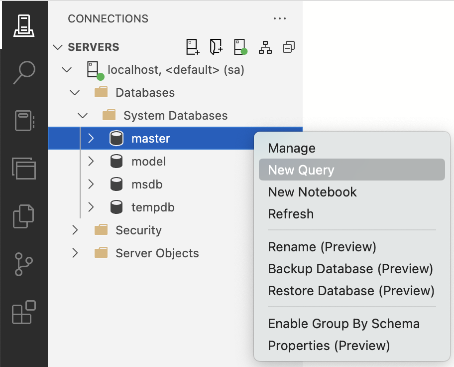 Fig. 2. Starting a new query in Azure Data Studio