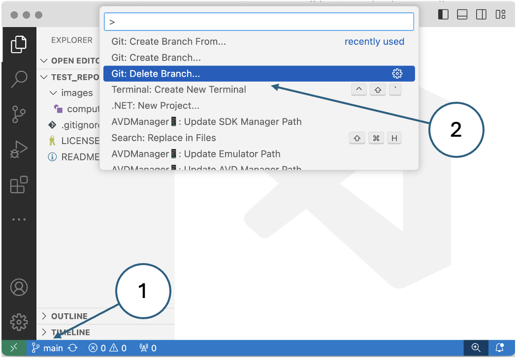 Fig. 18. Deleting a local branch in VSCode