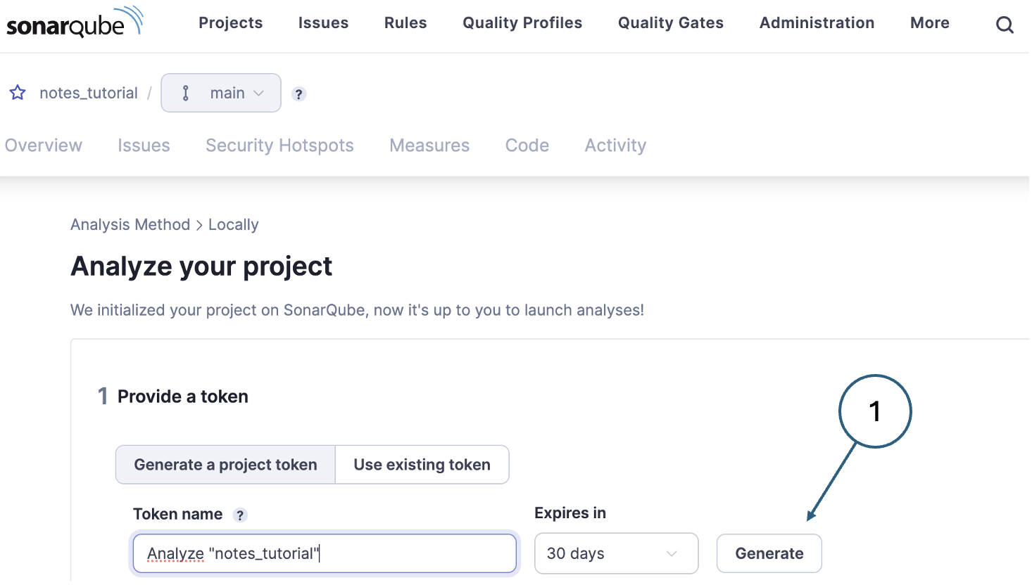 Fig. 4. Generating a project token